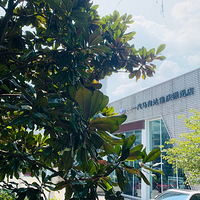 �������Լݡ�����ȫ�����Դﰢ���ȣ��˶��м��γ�ʵ���ٴ�����