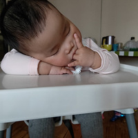 �۶����������֣��ֶ��Գ�ӡ����