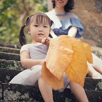 һƬҶ�ӣ�Ҳ���Գ�Ϊ�İ������