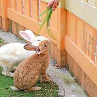 ��Щ�������Ƽ�����������أ����ȥ��ô��