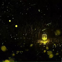 ����ө���ɭ��ȥ�����ڶ���԰+����͡�ٹ��ʽ���������١�