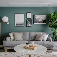 ��ŷ��ĵ��ӱ���ǽ��ʲô��ɫ�ȽϺÿ���