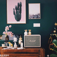 �������飬����ˢ�������������ī��ɫ��