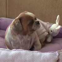 ����ÿ�����š�Ů�񡱷���������󡭡�ԭ���Ǹ��������ӣ�