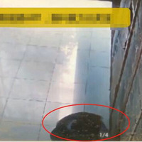 �ܺ��ӡ���С�ġ�������ݹ�1Сʱ