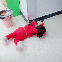 �׶�԰��ȴ�������Ƭ���ݣ���������ɹ����ұ�������԰��Ƭ