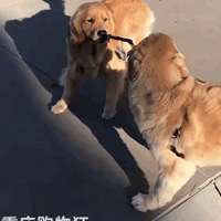 ��ֻ����������ã����������ˣ������Ǽ�������������