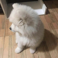 �������ĦҮ�����������