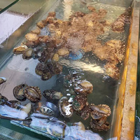 ͳԵ£зû˳ˡ9½