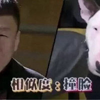 ţͷ�����ʹ���أ����ѣ�����ʵ�Ƕ쵰����