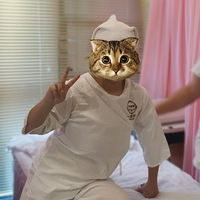 ̳wanghongѬ