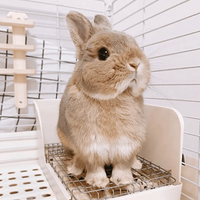 ��Ϊ�ҵ�����̫�ɰ��ˣ�����������ǿ�����