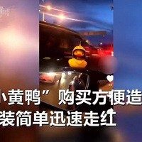 ������װС��Ѽ����Υ��