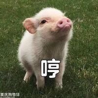 ϲ������˹�ӵ��ˣ�Ϊʲô��ֱ��������