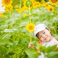 ��ʢ���տ������򿨣�ȷʵ��Ư��