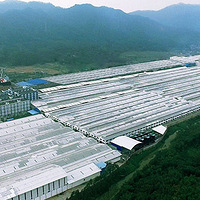 �Լ۱�֮��--˳���մɣ�������Żݣ������������ǰ���ܣ�