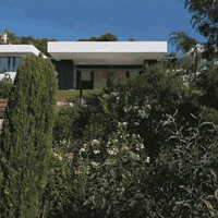 �ȿ���ɺ�һ����ı�����3100ƽ, ��û������ô���޵�Ӿ��