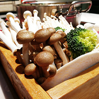 ʱ㳡Ѱζƪ˵ˮĵ50Ԫȯ