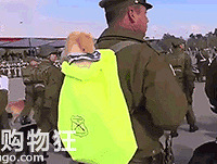 С��Ȯ�μӴ��ı����������ȷ����˵���