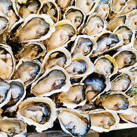 20Ԫ12ֻ򺣬Եķǽˣ+9½