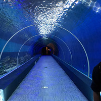 ������ˣ���캺������԰����Ȼÿ�궼���¸о�