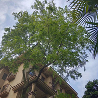 �Ӷ����ǵ�����ʽ�������п�