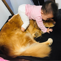 �ҵĹ���è��ѹ�������̫����