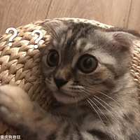 ���Ҽҵ�èè�����ױ������