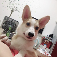 ��ף�Ҽ�QQ����
