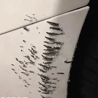 ��ʿ��ҧ���Լұ��۳�����ʺ�ٱ����ˣ�Ҫ�������������ɣ�