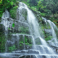 �������Ǵ�Խԭʼɭ��+��������޼ǡ�