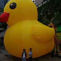 ��ˢ��ɫ����+��������޼ǡ�