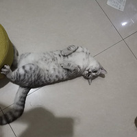 Խ�˵�è�䣬Խ��