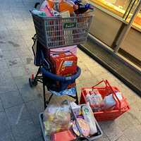 �����Լ�����-����-����������