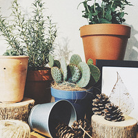 ��������С���� �ŵ��Լ�ϲ������