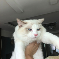 ����һ���Ҽҵ���ֻ��ż���������꣡����