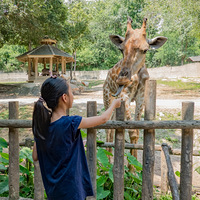 ��̩�͡���ųǡ�ι�������ڣ����ű���������