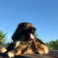 ���������ҵ���ɳ���µ���ʳ��û�뵽ȴ������һ�����˵����ܣ�