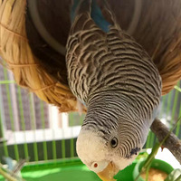 �Ҽ���������ɵ�С����
