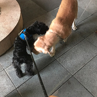 �Դ��̷���ѩ����TeenyС����