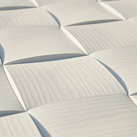 ԭ��ǽשҲ����ô�д��⣡