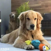 ��λ��ë�űȣ���������ȥ̩�����ı���������