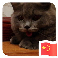 Ӣ�̺Ͳ�ż�ӽ���Ӣ��