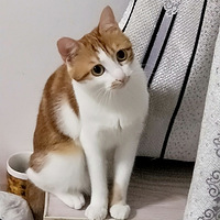 �������������ҿ���һ�㡭��