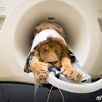 �ǳ��滼����CT��Ī������������
