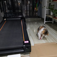 ����סһֻС�ɰ����о��������˵���Ȥ