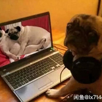 ˫ͷȮ�����Ȯ����ͷ�ˡ�������ʲô�����㲻�����ģ�