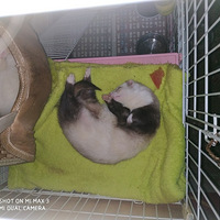 �þ�û����������ֻ��ͼ