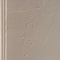 ���Ϲ���ĺ��߰ٵ�ˮ������ӹκ�������ʲôԭ��