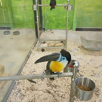 ���Ǿ���Ϊ��ֻ���ĵ���������~